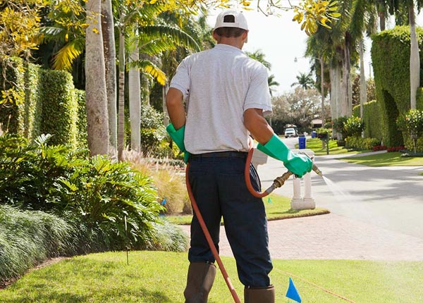 About Monument KS Pest Control